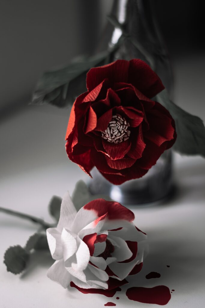 red rose in gray scale